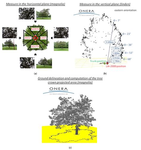 Impact of Tree Crown Transmittance on Surface Reflectance Retrieval in ...