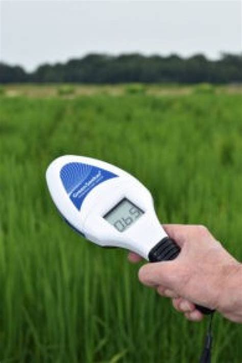 use green seeker and chlorophyll meter for accurate management of ...