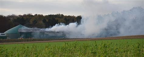 Biogasanlage: Trocknungshalle in Flammen | agrarheute.com