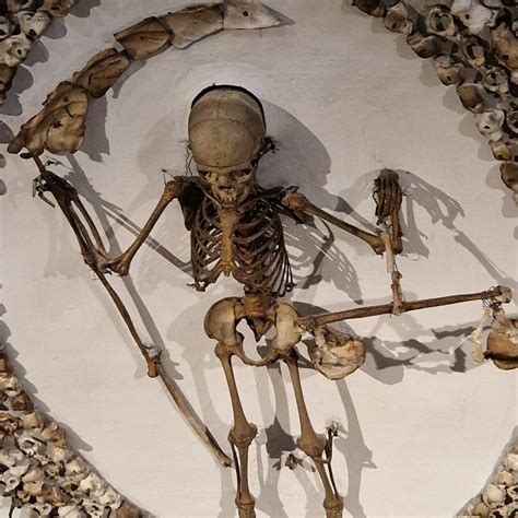 ROMEWITHMIKE (2026) All You Need to Know BEFORE You Go (with Photos ...