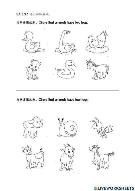 Animal Sports Worksheet 的图像结果