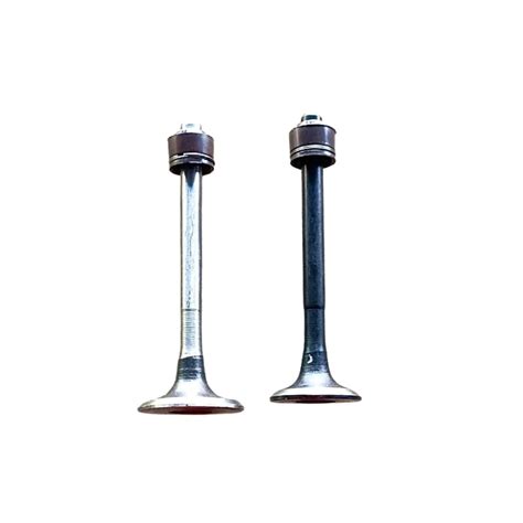 Engine Valve Set for Hero Splendor iSmart 110 | 2 Valves with seal