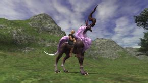 FINAL FANTASY XI Official Web Site