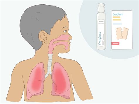 Ercefloraの服用方法:用量、効果、副作用