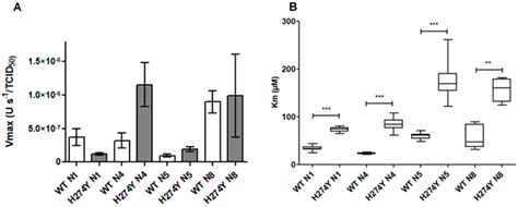 Impact of the H274Y Substitution on N1, N4, N5, and N8 Neuraminidase ...