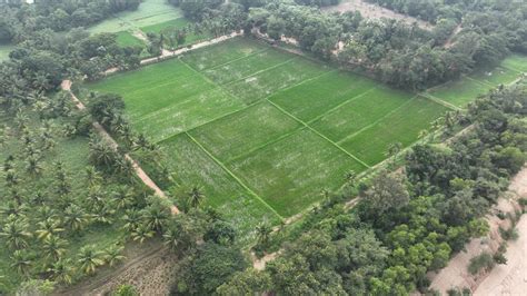 Repurposing in Mine Closure | Coal Controller's Organization