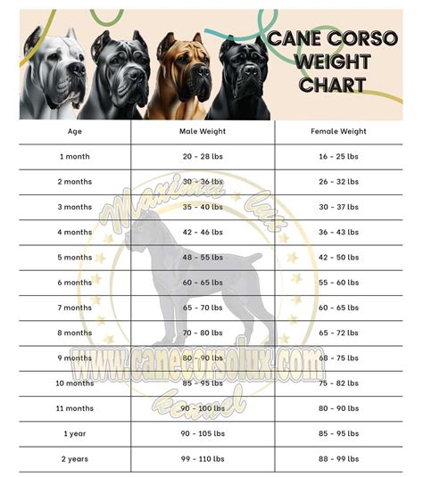 Growth Chart For Cane Corso - emsekflol.com