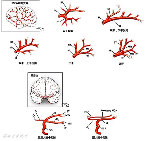 Image result for Alien Science Diagram