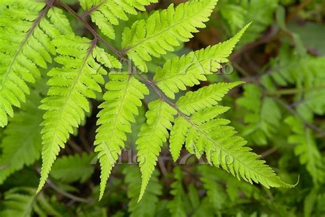 Image result for API Error Vector Image