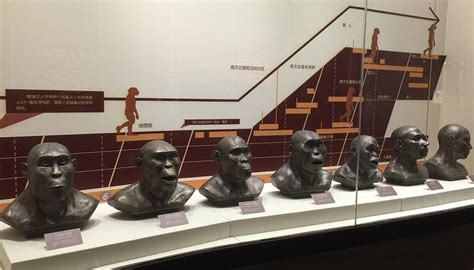 NANJING HOMO ERECTUS FOSSIL SITE MUSEUM - All You SHOULD Know Before ...