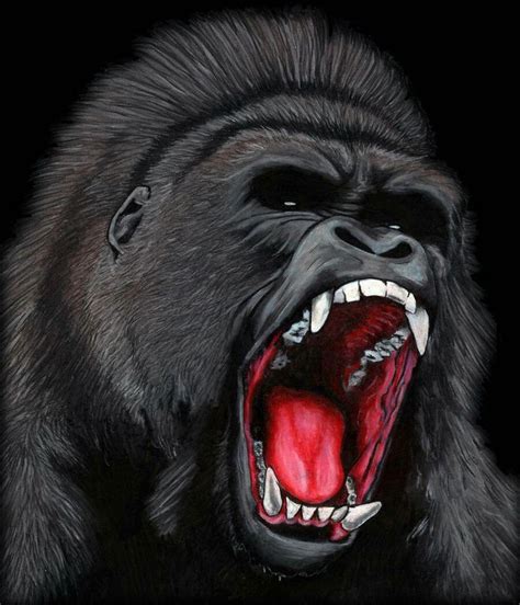scary gorilla drawing