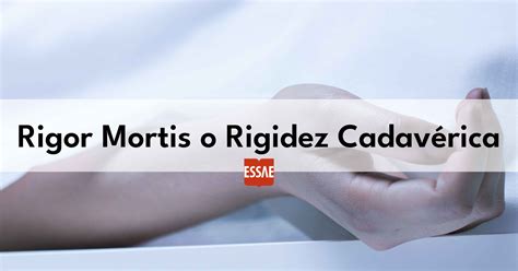 Rigor Mortis o Rigidez Muscular en Cadáveres [Guía 2025]