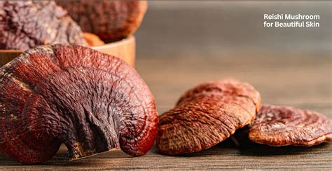 Reishi Mushroom for Beautiful Skin | Clinikally