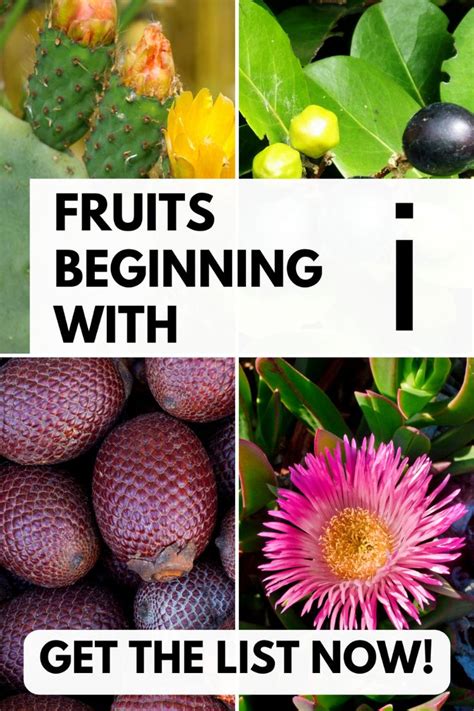 25 Fun Fruits That Start With I: But Avoid #1! | Recipe | Fruit list ...