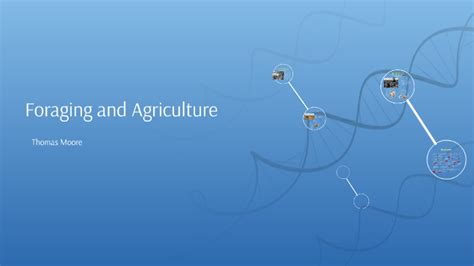 Example of Society 的图像结果