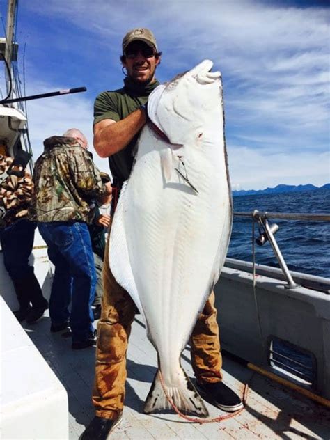 How Big Can Halibut Get? The Truth Behind Their Massive Size