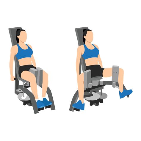 Woman doing exercise using Adduction inner thigh machine. Adductor ...