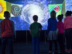 A Mirror Maze | Meer