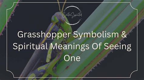 Ever wondered why you keep seeing grasshoppers? This post explores the ...