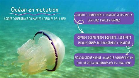 Océan en mutation — Soirée de conférences du Master Sciences de la Mer ...