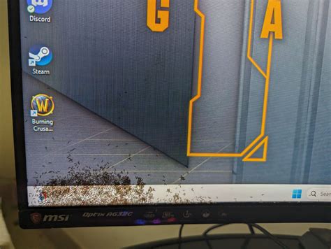 What is this - a monitor for ants? : r/RedditAndChill