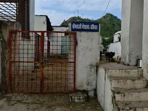 Shrinathji left Nathdwara for 5 years: Idol was shifted after Marathas ...