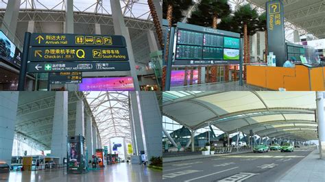 广州白云机场国际及地区客运通航已恢复至2019年的50%_新闻频道_中国青年网