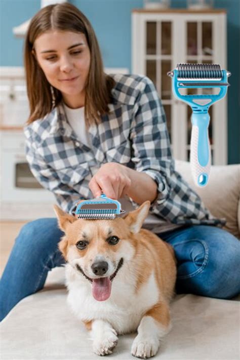 Grooming – Petbabas