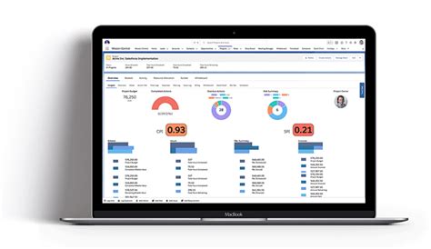 Image result for Salesforce Project Management Software