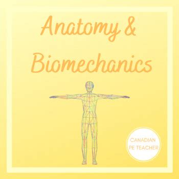 Exercise Science 的图像结果