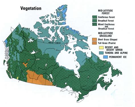 Vegetation resources of Canada on the map detailed large scale free - US map