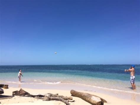 Monkey Fish (Veracruz) - 2022 What to Know Before You Go (with Photos ...