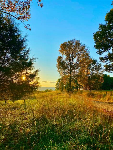 19 Fun and Interesting Facts about Arkansas (unique!)