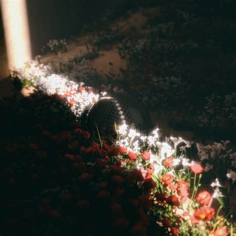 Bethel Music | Emmy Rose