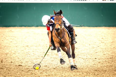Pony Club Polocrosse