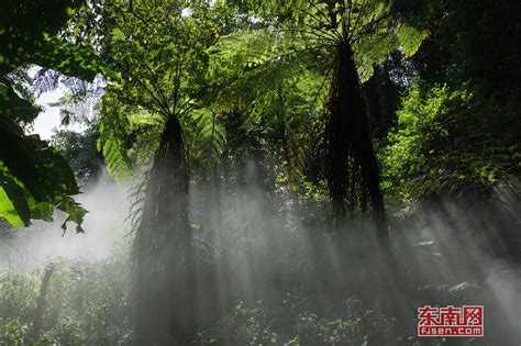 2018年8月6日-8月12日福建一周热图 -福建一周热图 - 东南网