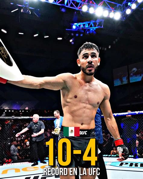 Carlos Santacruz MMA | 🏆Los campeones de las 145 libras en toda su ...