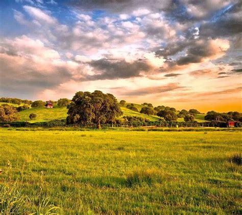 Country Pics 的图像结果