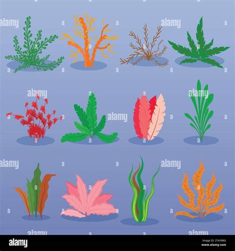 Red marine plant on Stock Vector Images - Alamy