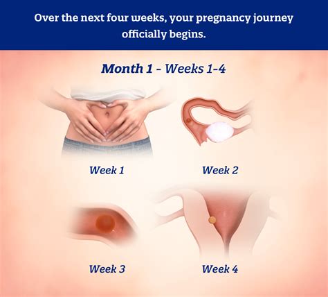 Four Weeks Are Four Day School Weeks The New Norm? Colorado