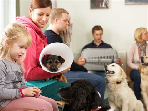 Ticks on Dogs! 5 Unsuspecting Places Your Dog is Exposed to Ticks | PetMD