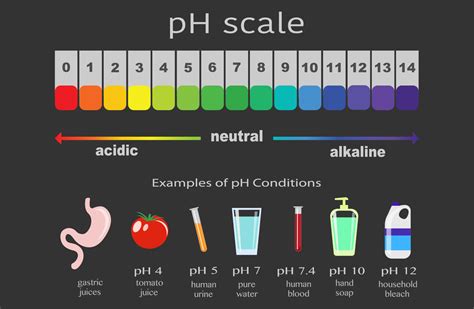 Basic Ph Scale