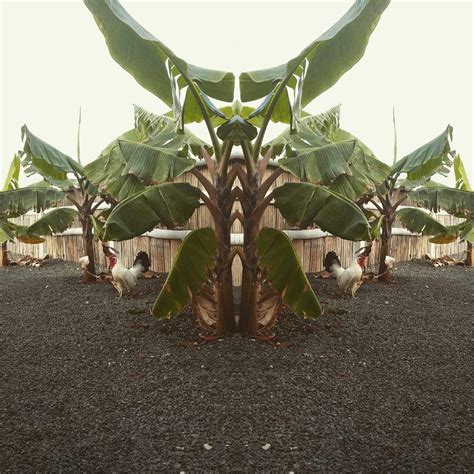 SUMAK KAWSAY (Santa Marianita) - Lodge Reviews & Photos - Tripadvisor