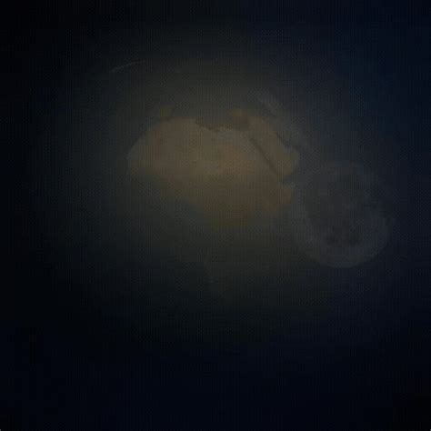 Animated Spinning Earth 的图像结果