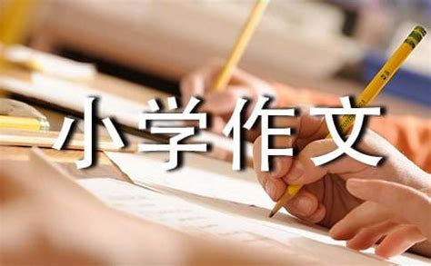 关于中国传统文化小学作文300字
