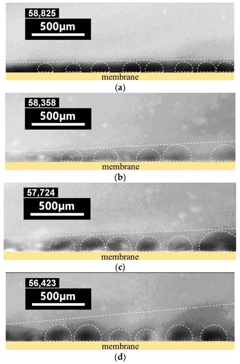Efficient Anion-Exchange Membranes with Anti-Scaling Properties ...
