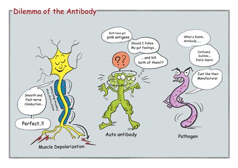 Molecular Mimicry in Guillain-Barre Syndrome - Creative Med Doses