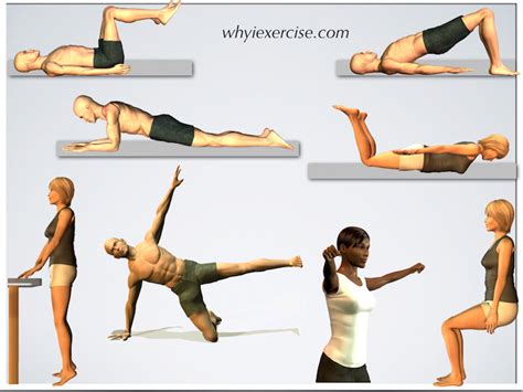 Easy at home exercises with videos and illustrations.