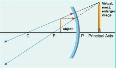 draw a ray diagram of cancave and convex mirror to show their principal ...
