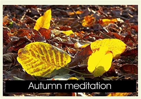 Autumn Meditation Poster Book Din A4 L : Codrut Cicu Cosmin: Amazon.in ...